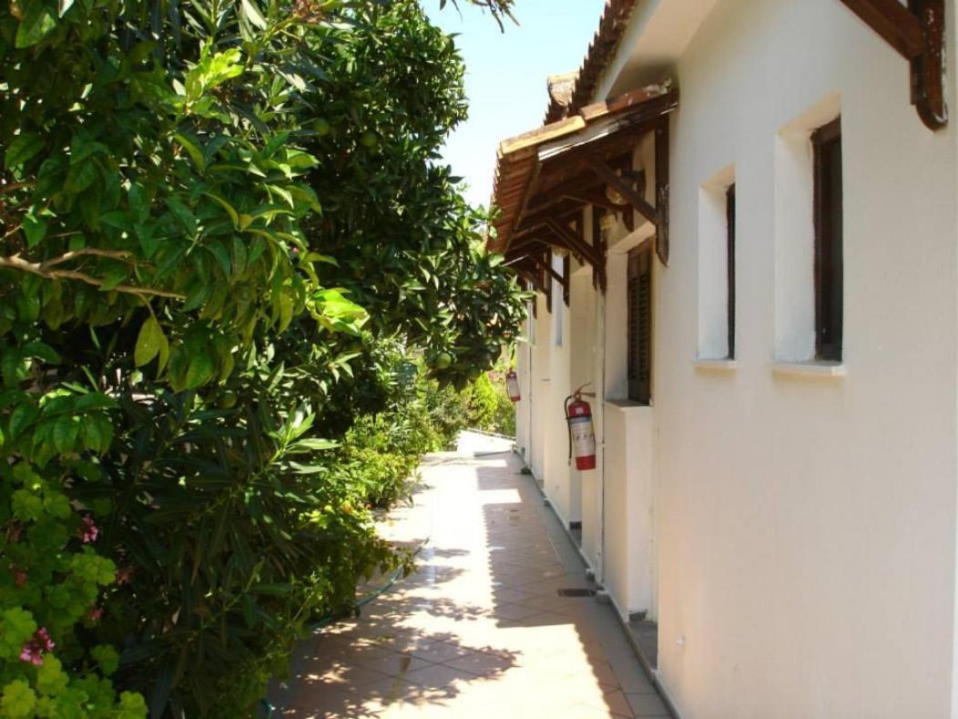 Ilias Tsaprounis Appartement
